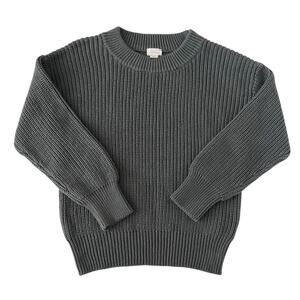 Jamie Kay Blue Leon Sweater